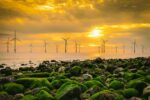 Offshore wind turbines during sunset