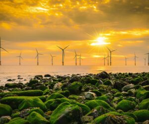 Offshore wind turbines during sunset