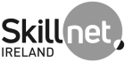 skillnet-ireland